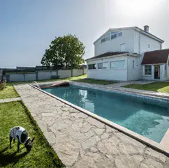 kedi oteli köpek oteli